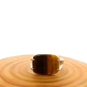 خاتم فضة شنكار مربع عين النمر